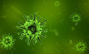 Affenpocken sind in Europa auf dem Vormarsch und auf dem Weg nach Russland