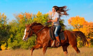 Video zeigt den Moment, in dem ein Rennwagen ein Mädchen auf einem Pferd überfährt